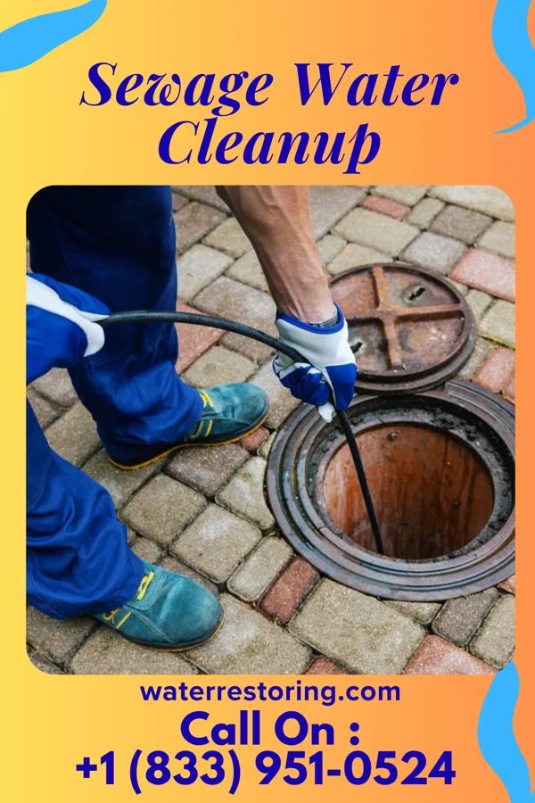 Sewage Water Cleanup in Azure, MT